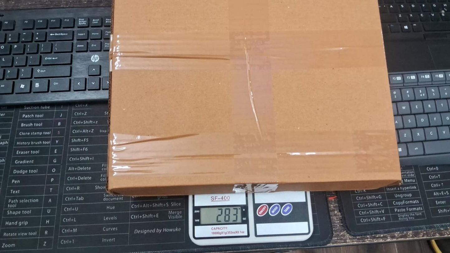 Slide Bucket Lid Mouse Rat Trap with Ramp